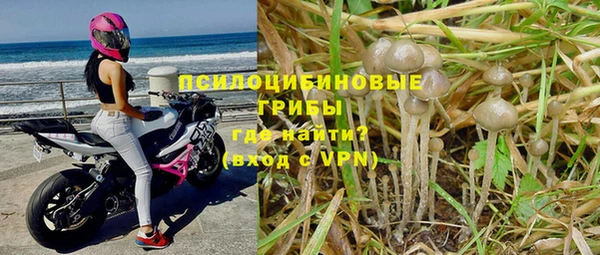 a pvp Елабуга