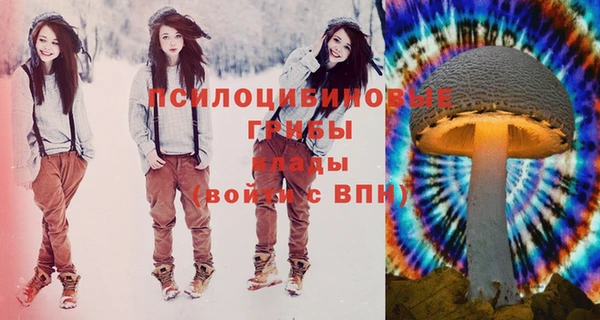 стафф Дмитров