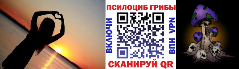 Купить  Гуково  Галлюциногенные грибы Cubensis 